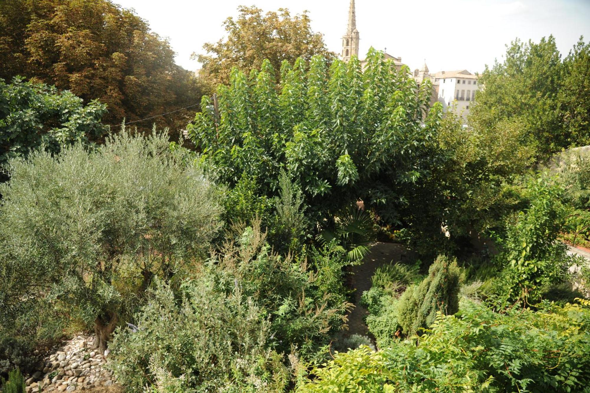 Вілла Limoux Riverside Gardens Екстер'єр фото