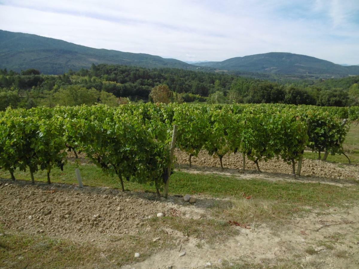 Вілла Limoux Riverside Gardens Екстер'єр фото